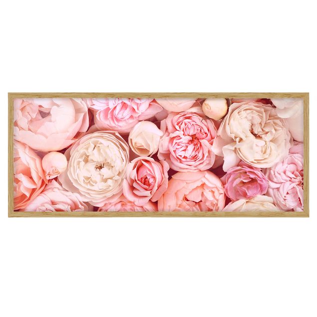 quadros de flores Roses Rosé Coral Shabby