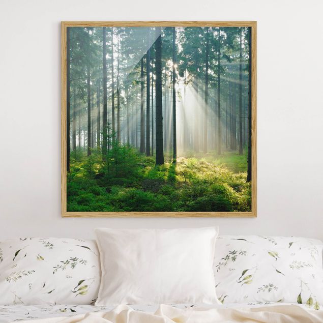quadro de árvore Enlightened Forest