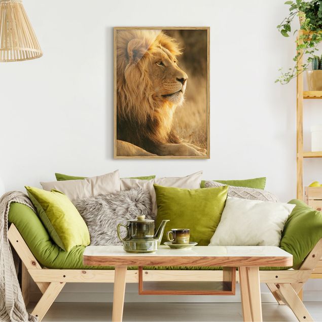 Quadros com moldura animais King Lion