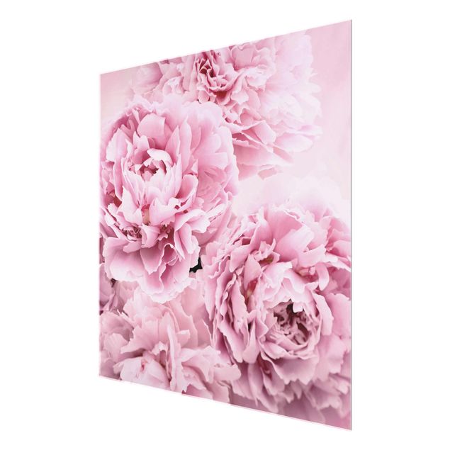 quadros de flores Pink Peonies