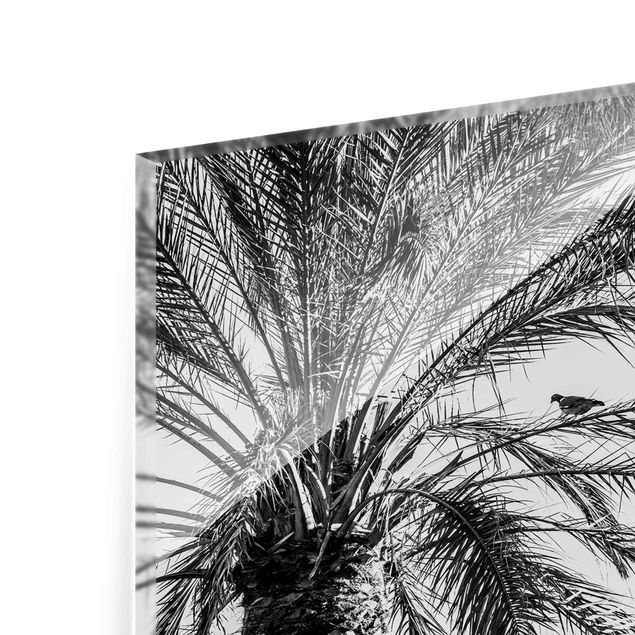 Quadros preto e branco Palm Trees At Sunset Black And White
