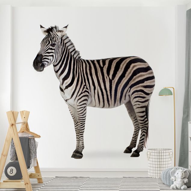 Papel de parede zebras Big Zebra
