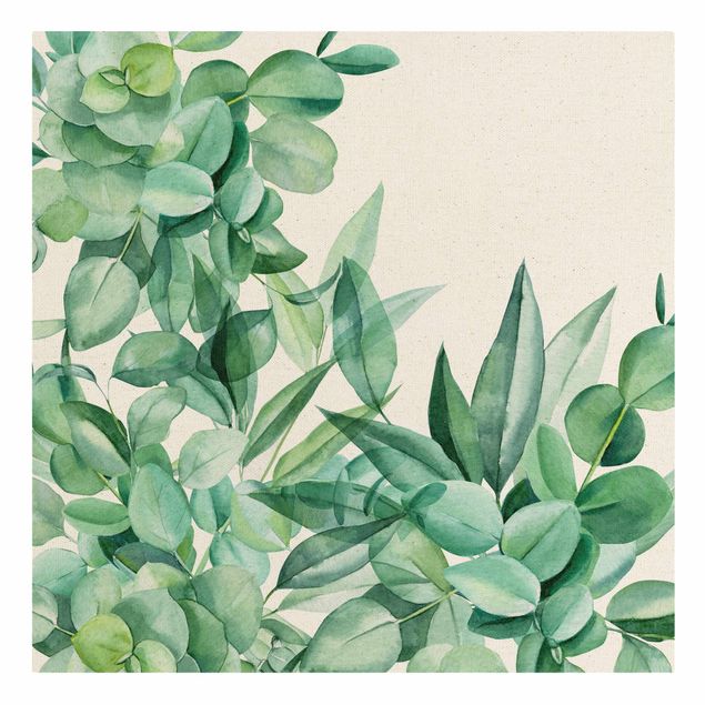 Quadros decorativos Thicket Eucalytus Leaves Watercolour
