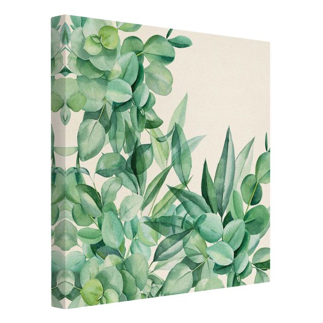 Telas decorativas Thicket Eucalytus Leaves Watercolour