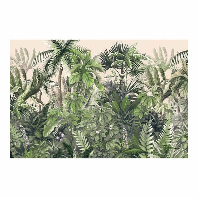 murais de parede Jungle Plants In Green