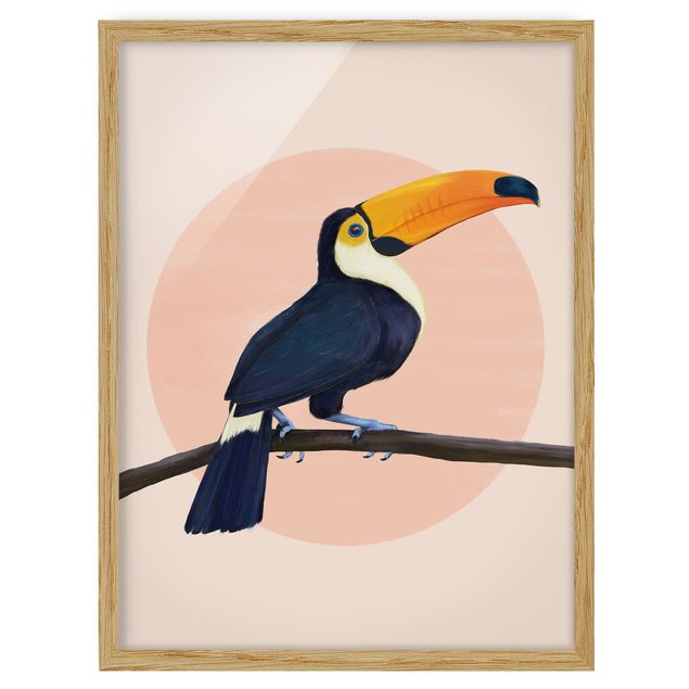 quadros decorativos para sala modernos Illustration Bird Toucan Painting Pastel