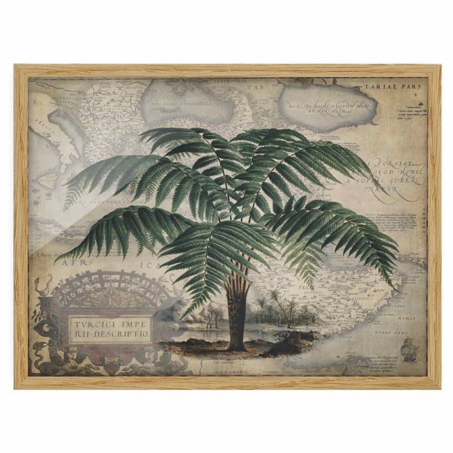 Quadros com moldura flores Vintage Collage - Palm And World Map