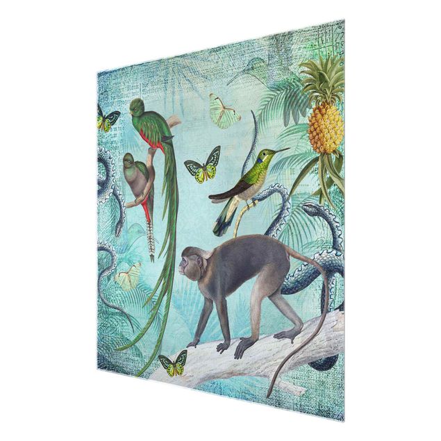 Quadros verdes Colonial Style Collage - Monkeys And Birds Of Paradise