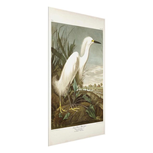 Quadros mar Vintage Board White Heron I