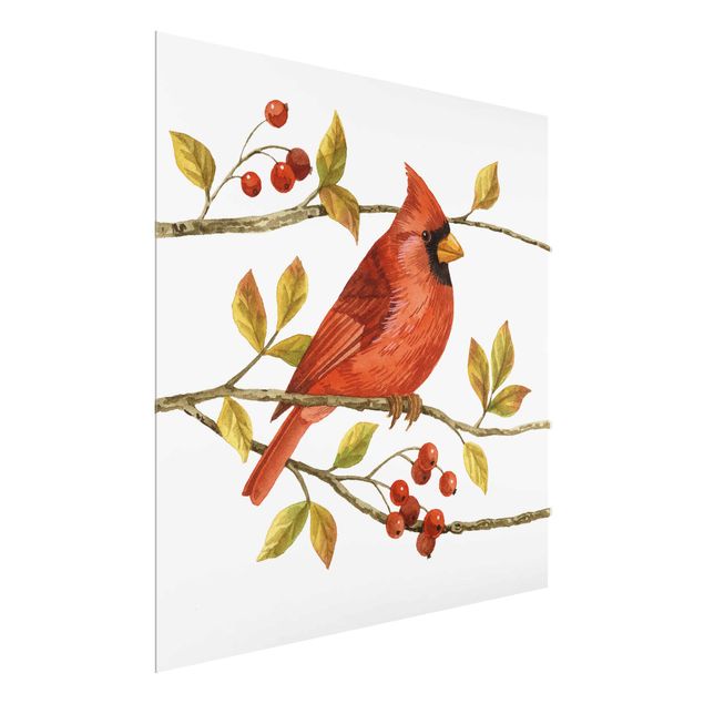 Quadros retro Birds And Berries - Northern Cardinal