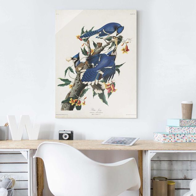 Quadros florais Vintage Board Blue Jays