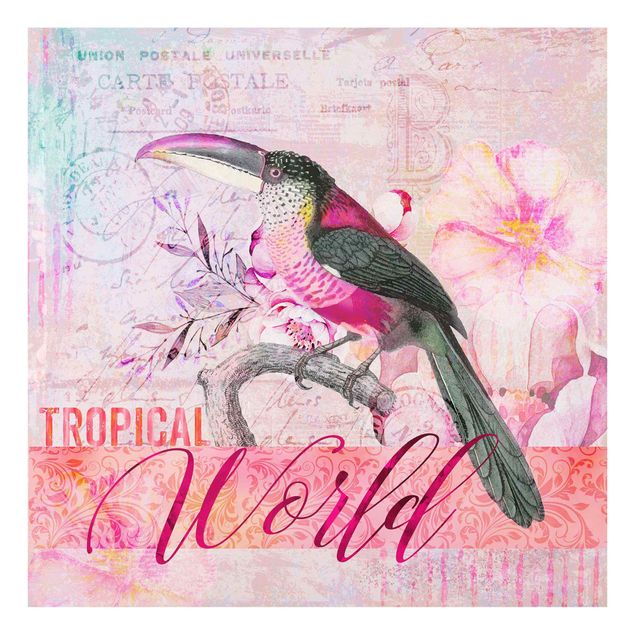 Quadros de Andrea Haase Vintage Collage - Tropical World Tucan