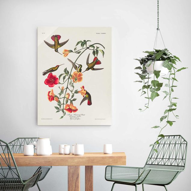 Quadros em vidro flores Vintage Board Mango Hummingbirds