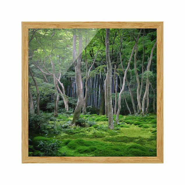 Quadros com moldura paisagens Japanese Forest