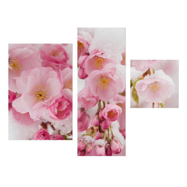 Quadros florais Snow-Covered Cherry Blossoms