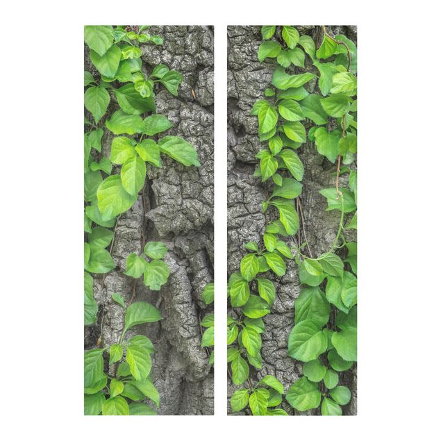 quadro com paisagens Ivy Tendrils Tree Bark