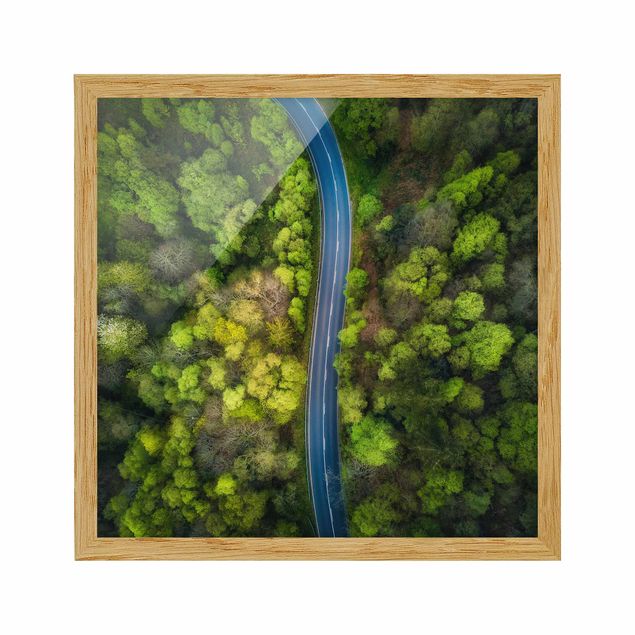 Quadros com moldura paisagens Aerial View - Asphalt Road In The Forest