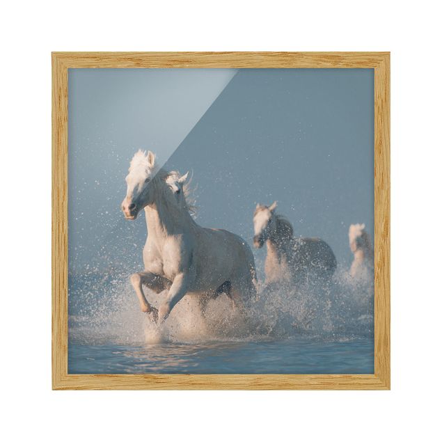 quadros abstratos modernos Herd Of White Horses