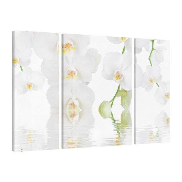 Telas decorativas flores Spa Orchid - White Orchid