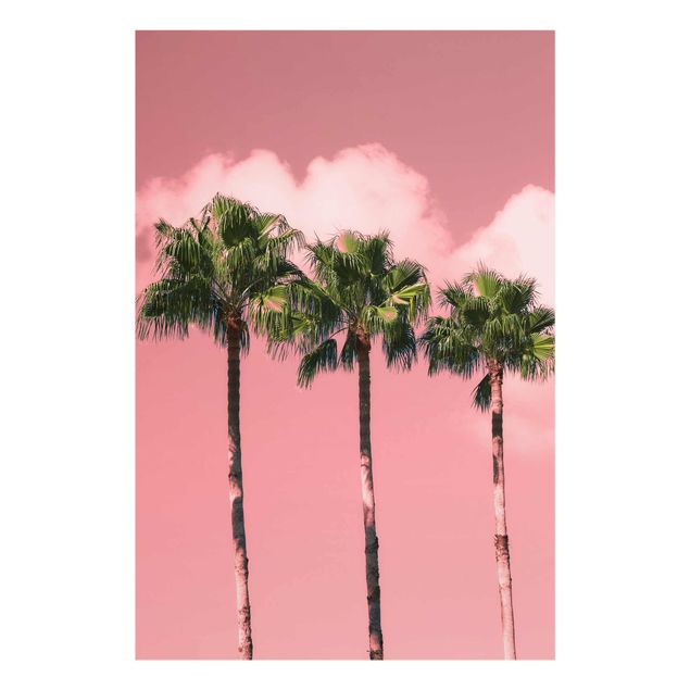 quadros flores Palm Trees Against Sky Pink