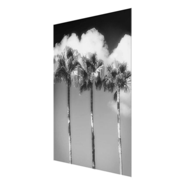 quadros preto e branco para decoração Palm Trees Against The Sky Black And White