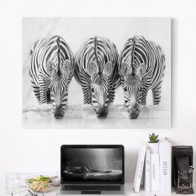 decoraçao cozinha Zebra Trio In Black And White