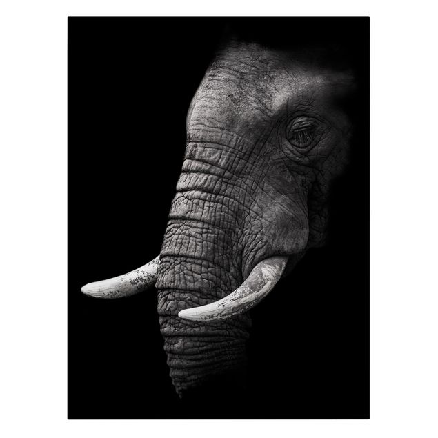 Telas decorativas em preto e branco Dark Elephant Portrait