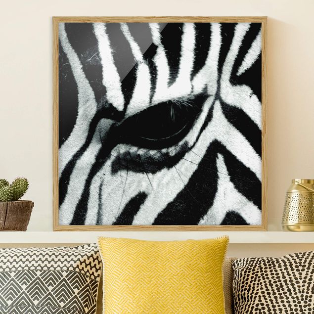 decoraçao para parede de cozinha Zebra Crossing
