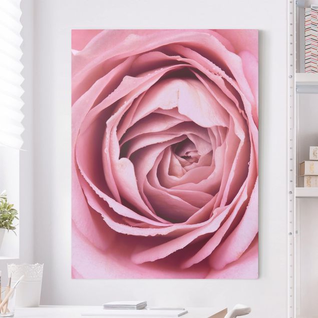 decoraçoes cozinha Pink Rose Blossom