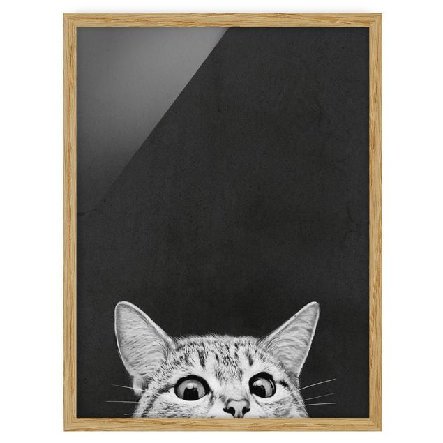 Quadros com moldura em preto e branco Illustration Cat Black And White Drawing