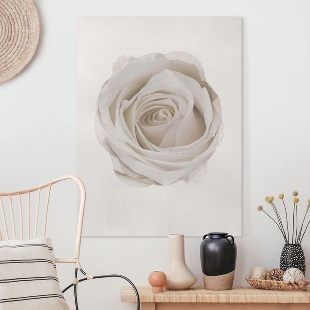 decoraçao cozinha WaterColours - Pretty White Rose