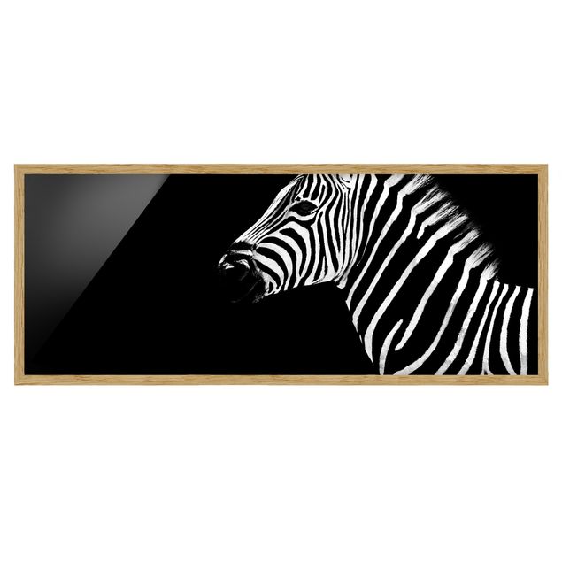 Quadros com moldura animais Zebra Safari Art