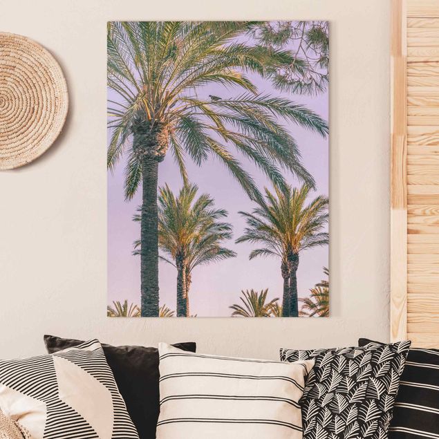 decoraçoes cozinha Palm Trees At Sunset