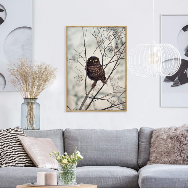 quadros modernos para quarto de casal Owl In The Winter