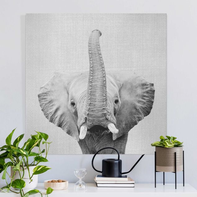 Telas decorativas elefantes Elephant Ewald Black And White