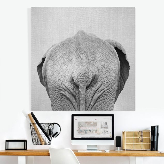 Telas decorativas elefantes Elephant From Behind Black And White