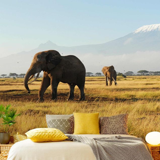 Papel de parede África Elephants In Front Of The Kilimanjaro In Kenya