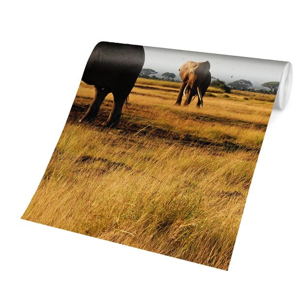 papel de parede para quarto de casal moderno Elephants In Front Of The Kilimanjaro In Kenya