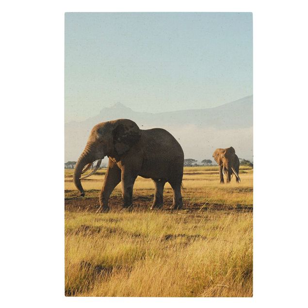 Telas decorativas montanhas Elephants In Front Of Kilimanjaro In Kenya