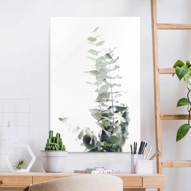 decoraçao cozinha Eucalyptus In White Light