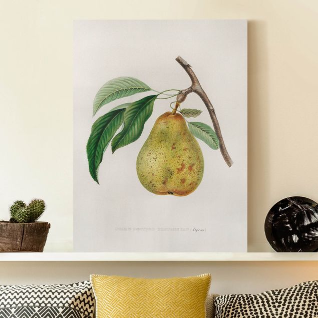 decoraçao para parede de cozinha Botany Vintage Illustration Yellow Pear