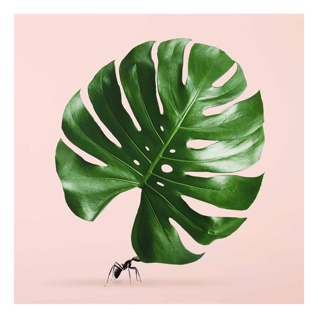 quadros flores Ant With Monstera Leaf