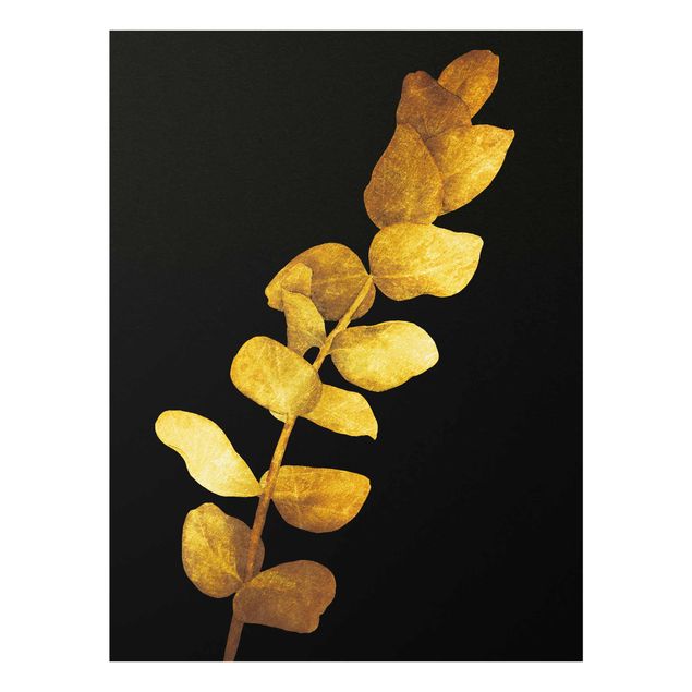 quadros de flores Gold - Eucalyptus On Black