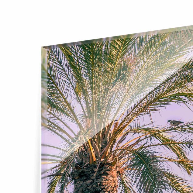 quadro decorativo verde Palm Trees At Sunset