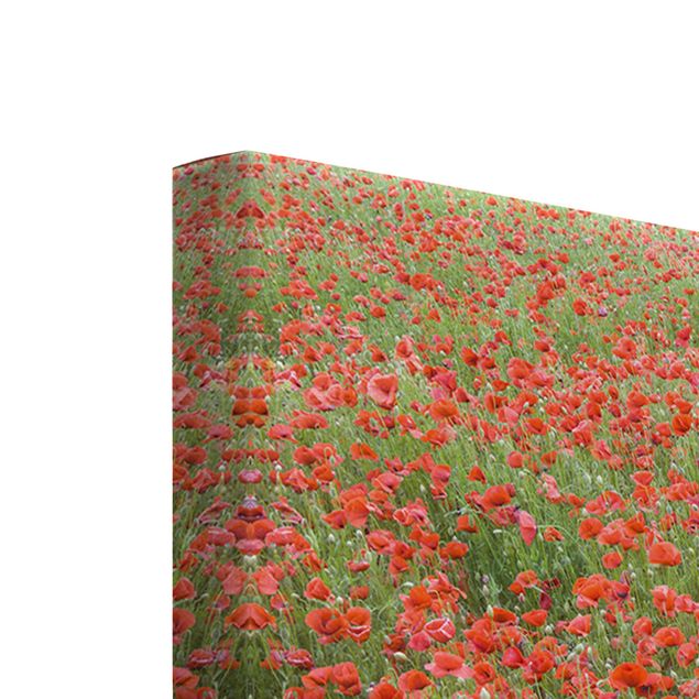 Quadros vermelhos Poppy Field