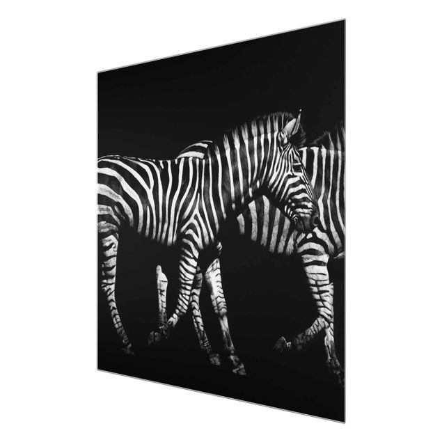 quadros preto e branco para decoração Zebra In The Dark