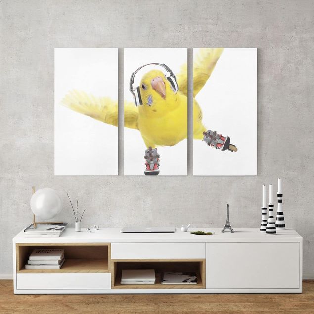 Telas decorativas animais Skate Parakeet
