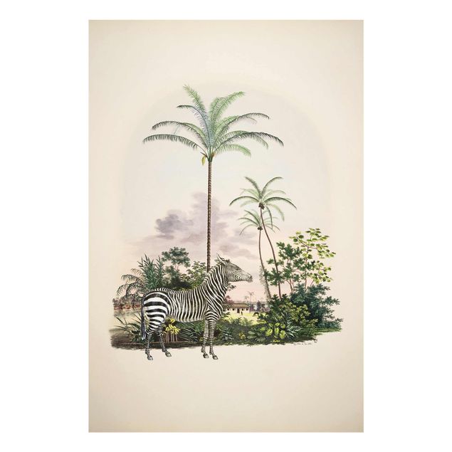 Quadros em vidro animais Zebra Front Of Palm Trees Illustration