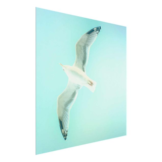 quadros decorativos para sala modernos Blue Sky With Seagull