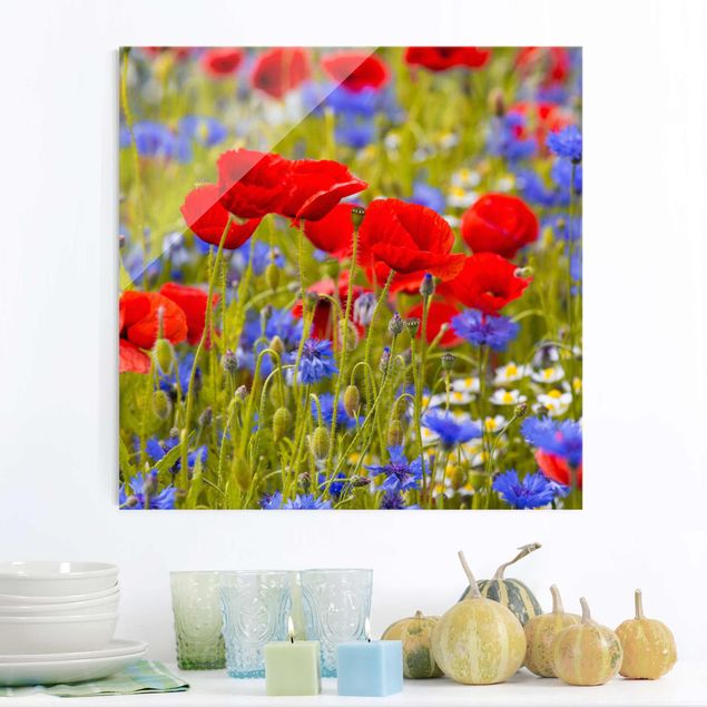Quadros em vidro papoilas Summer Meadow With Poppies And Cornflowers